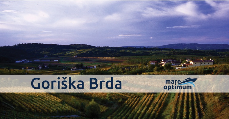 Tečaj za voditelja čolna Gori&scaron;ka Brda