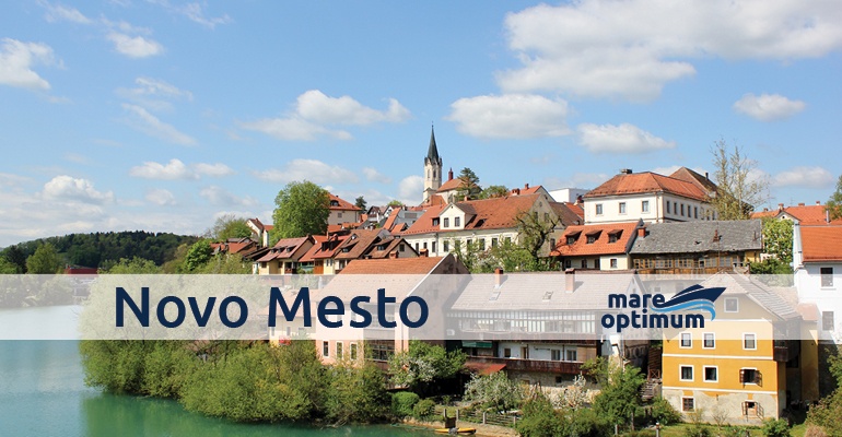 Tečaj za voditelja čolna Novo Mesto