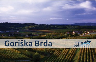 Tečaj za voditelja čolna Gori&scaron;ka Brda